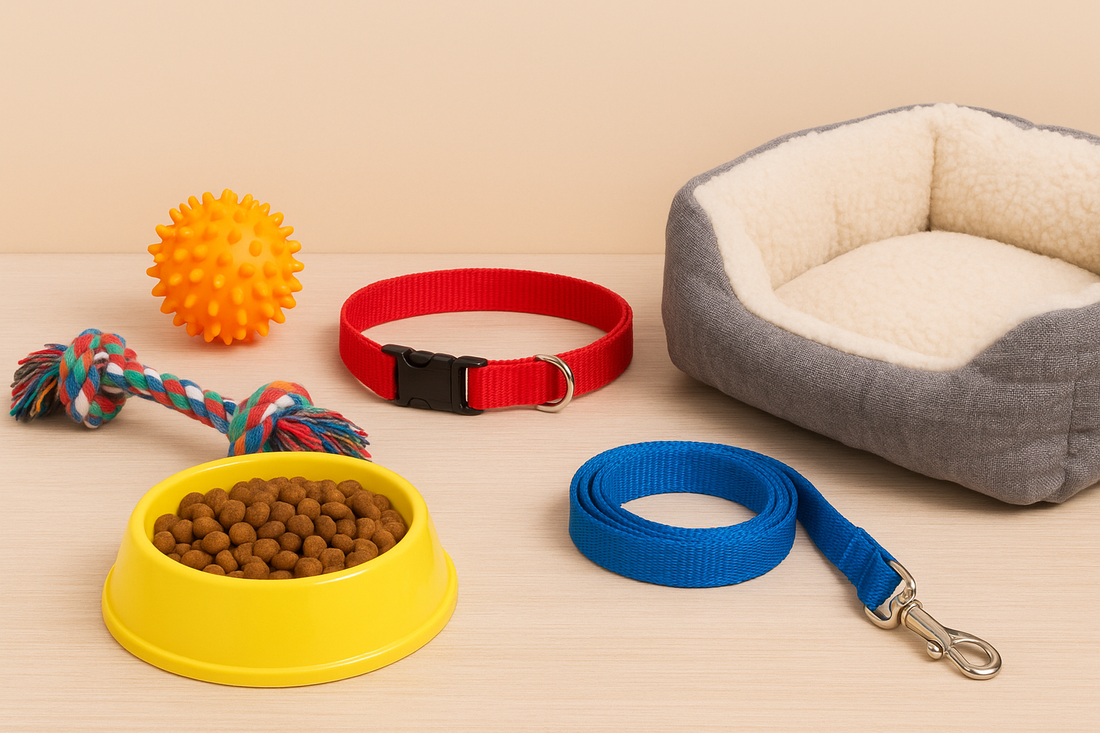 10 Affordable Pet Accessories for New Pet Owners