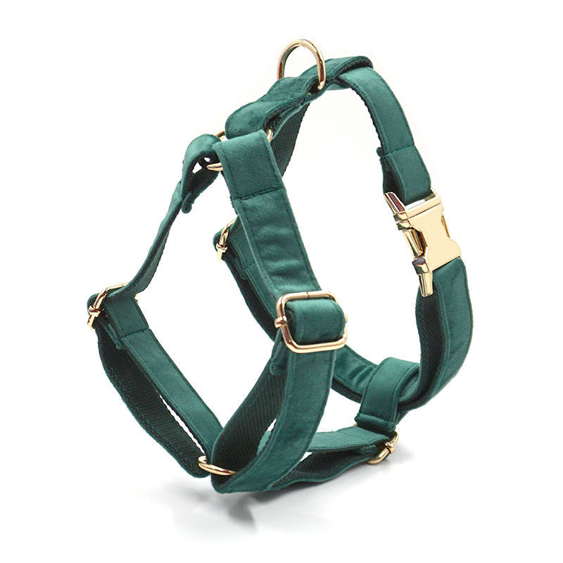 Emerald Paw Velvet Collar - Stylish Comfort for Dogs