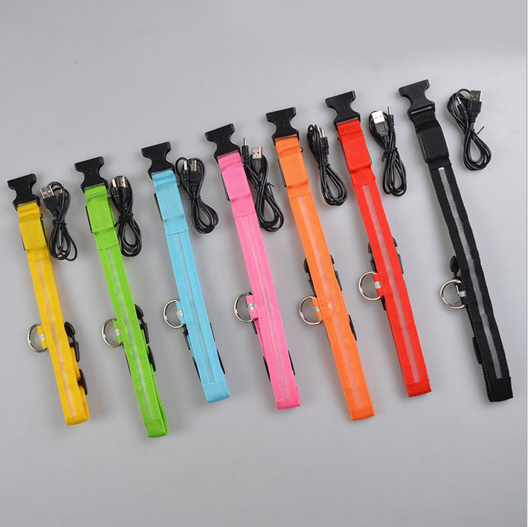 Shiny Tail LED Collar - Safe, Stylish, and Glow-in-Dark