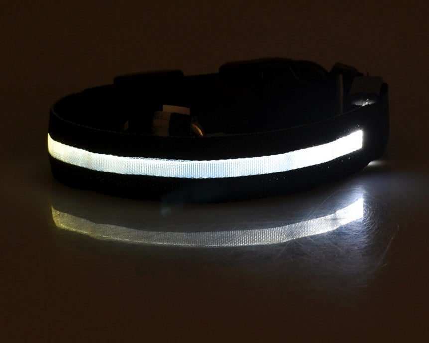 Shiny Tail LED Collar - Safe, Stylish, and Glow-in-Dark