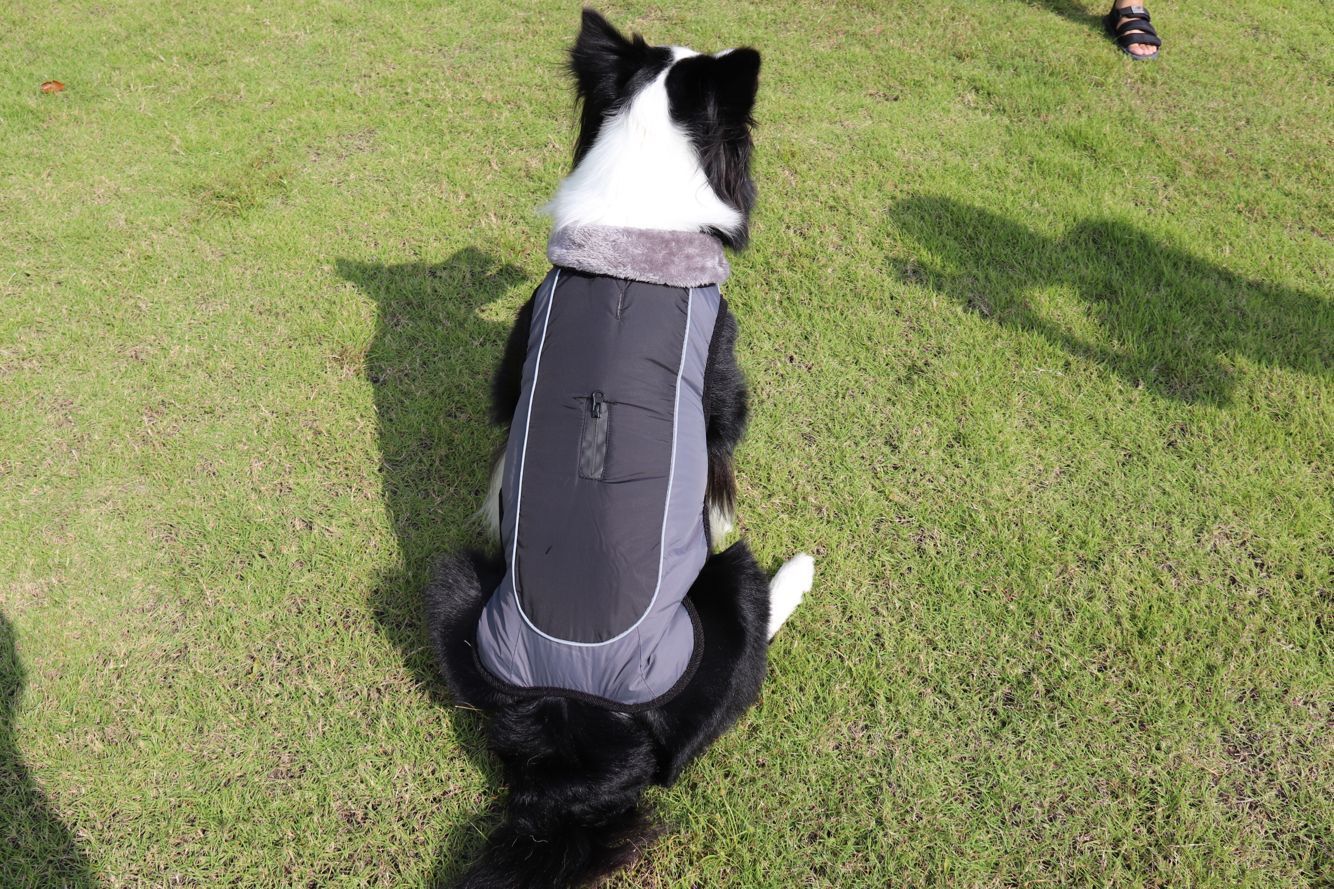 Fur Warm Padded Jacket - Safe & Snug for Cold Days