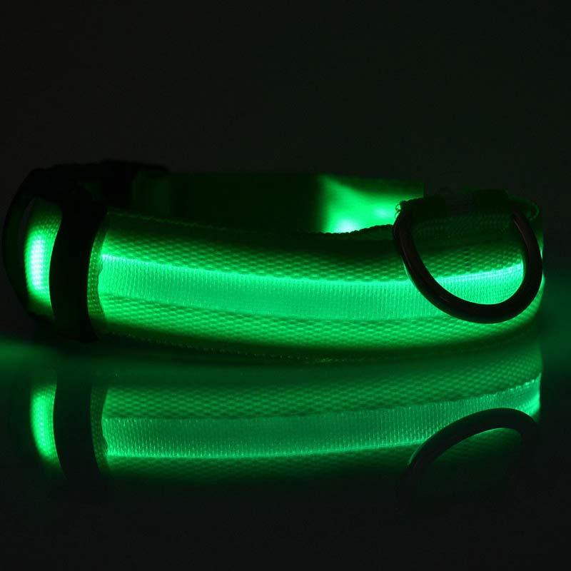 Shiny Tail LED Collar - Safe, Stylish, and Glow-in-Dark