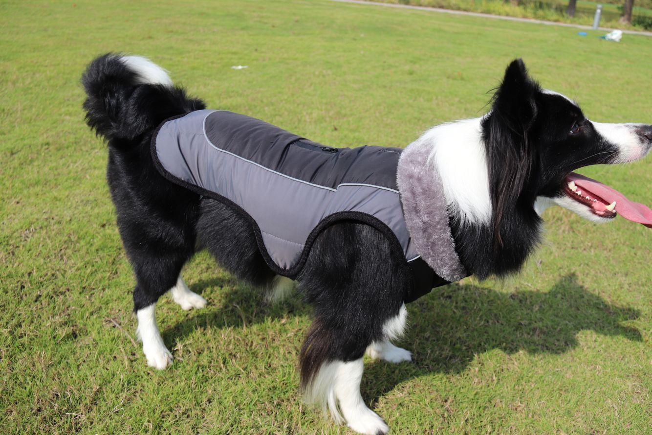 Fur Warm Padded Jacket - Safe & Snug for Cold Days