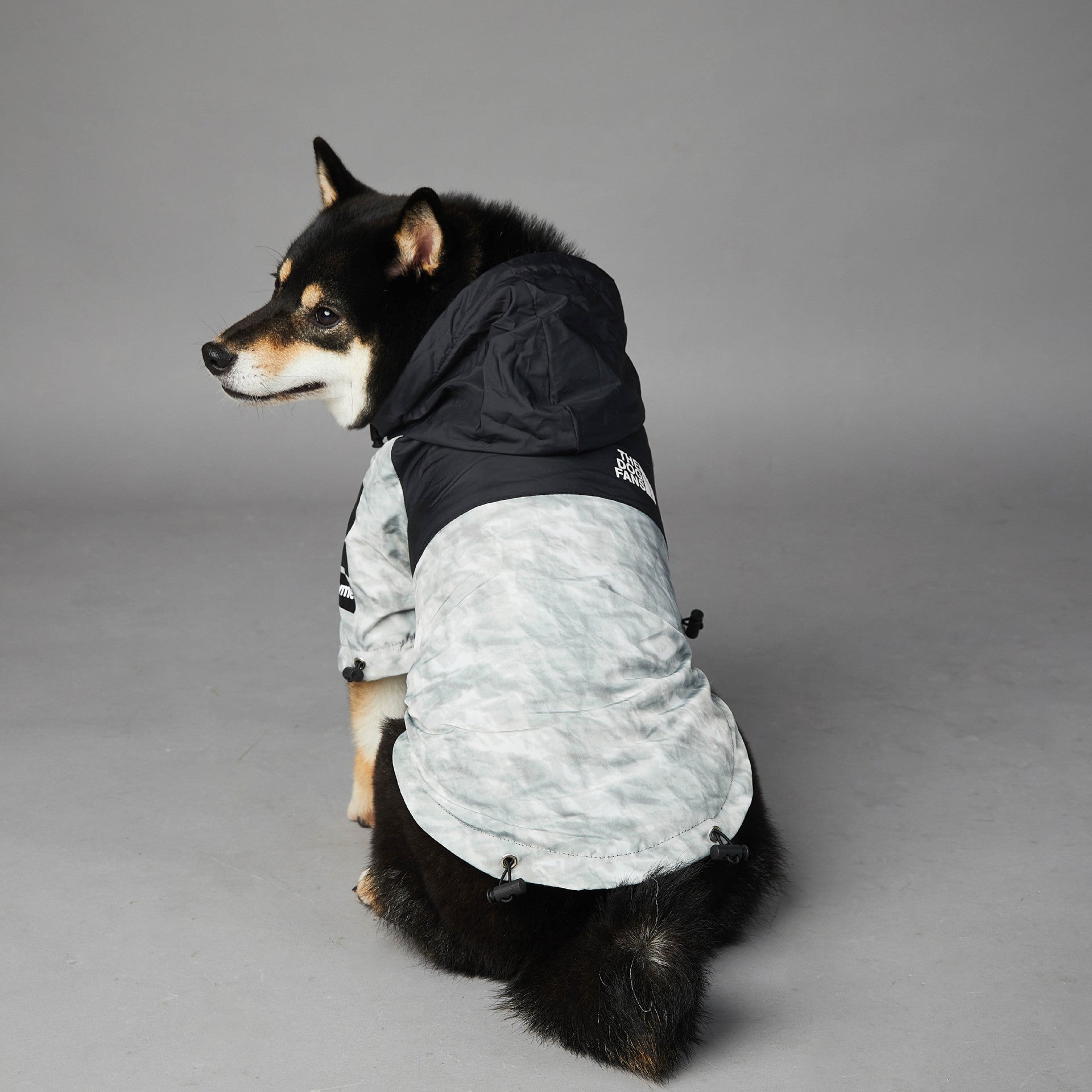 Tail Guard Shell - Comfortable Jacket for Outdoor Adventures