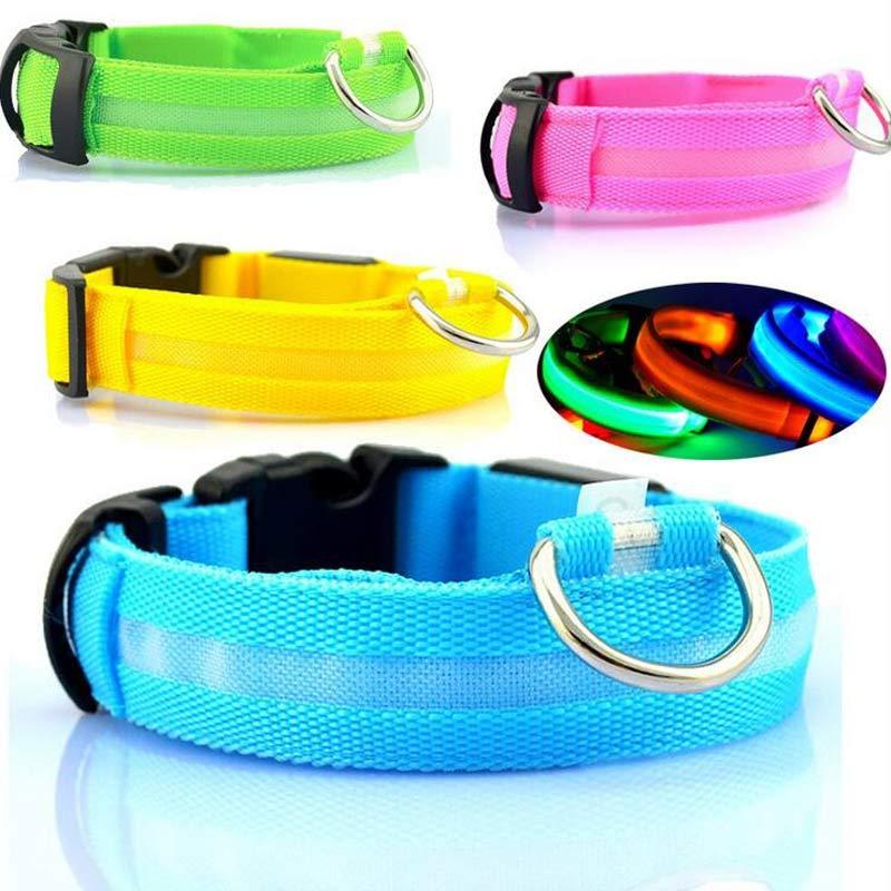 Shiny Tail LED Collar - Safe, Stylish, and Glow-in-Dark