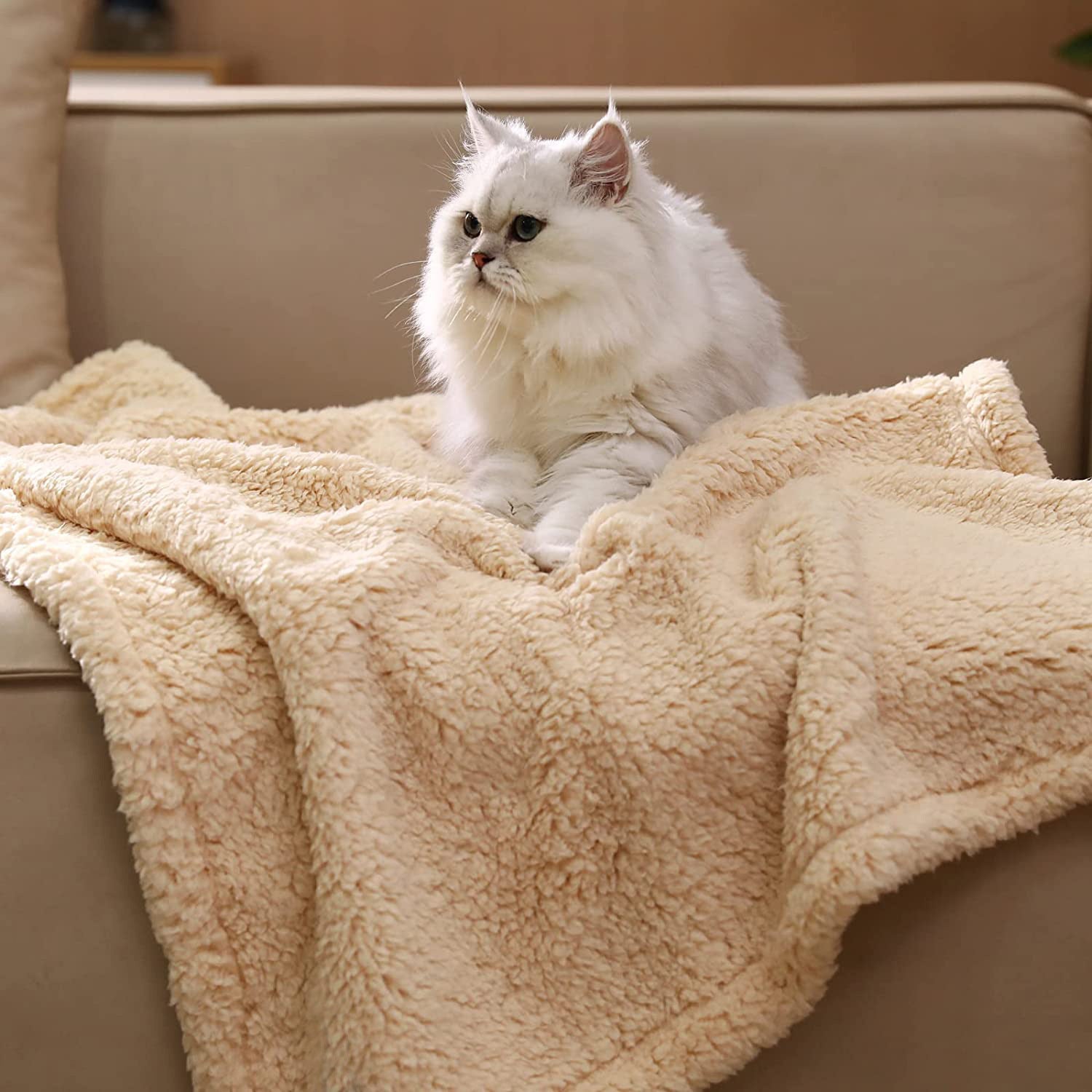 Fur Haven Velvet Blanket - Cozy Comfort for Your Pet