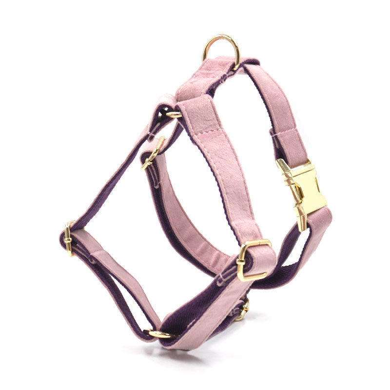 Emerald Paw Velvet Collar - Stylish Comfort for Dogs