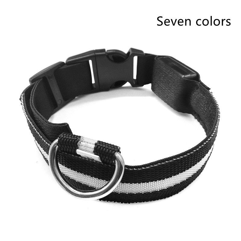 Shiny Tail LED Collar - Safe, Stylish, and Glow-in-Dark