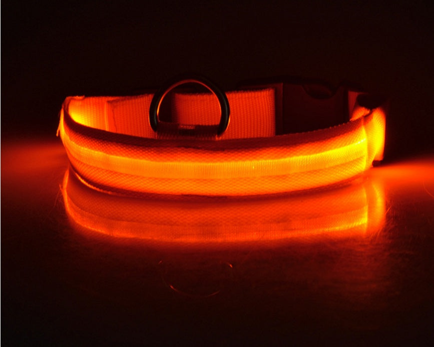 Shiny Tail LED Collar - Safe, Stylish, and Glow-in-Dark