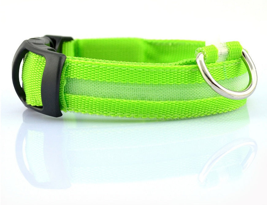 Shiny Tail LED Collar - Safe, Stylish, and Glow-in-Dark
