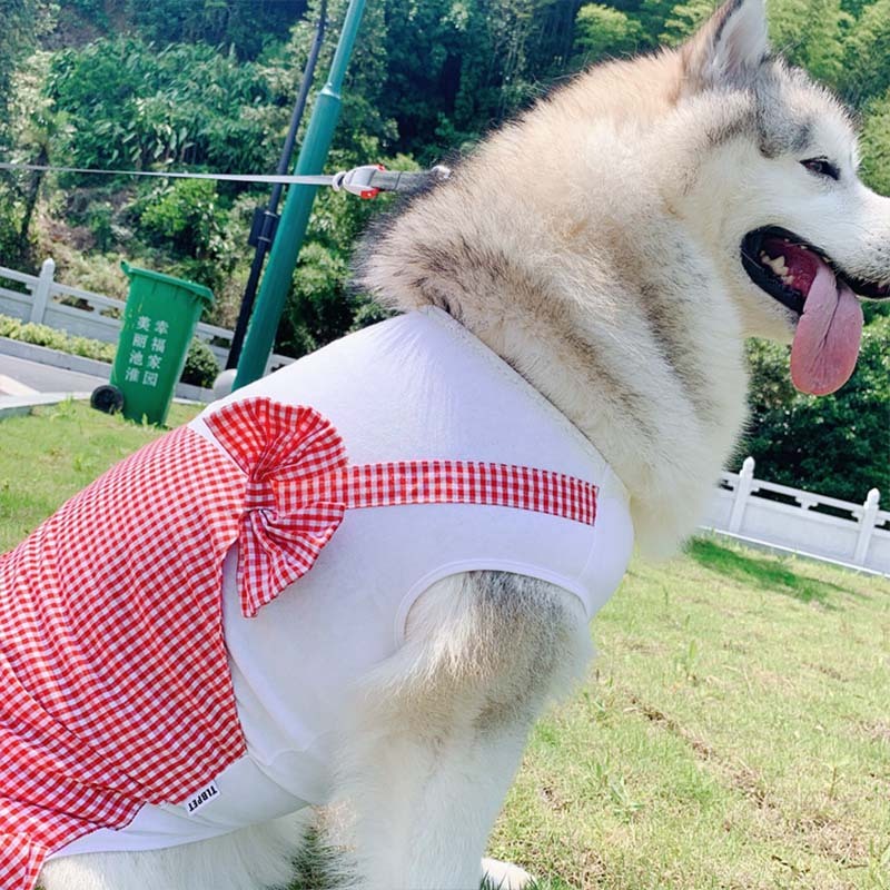 Royal Pup Dress - Adorable Princess Outfit for Big Dogs