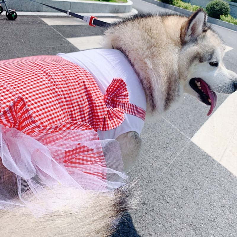 Royal Pup Dress - Adorable Princess Outfit for Big Dogs