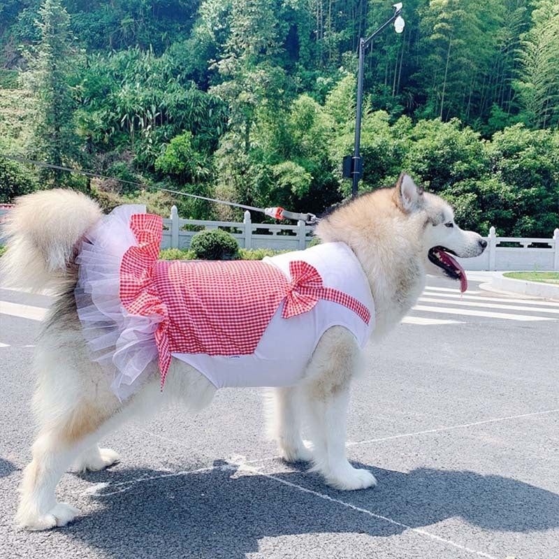Royal Pup Dress - Adorable Princess Outfit for Big Dogs