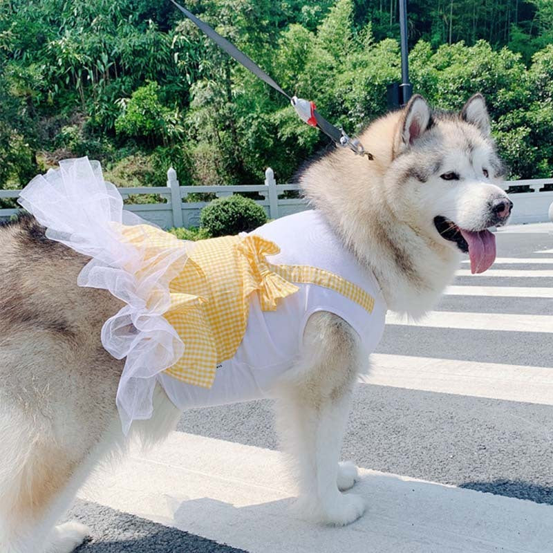 Royal Pup Dress - Adorable Princess Outfit for Big Dogs