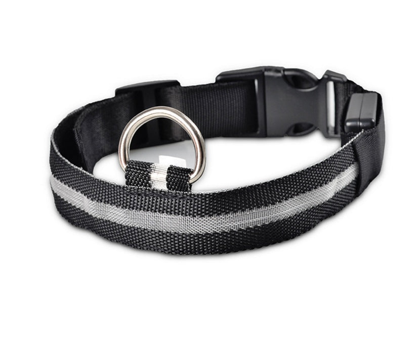 Shiny Tail LED Collar - Safe, Stylish, and Glow-in-Dark