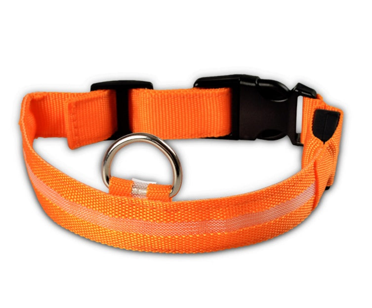 Shiny Tail LED Collar - Safe, Stylish, and Glow-in-Dark