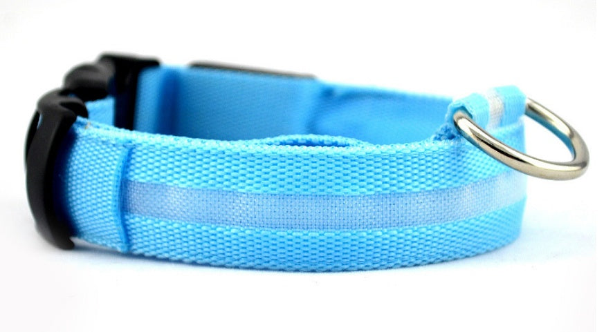 Shiny Tail LED Collar - Safe, Stylish, and Glow-in-Dark