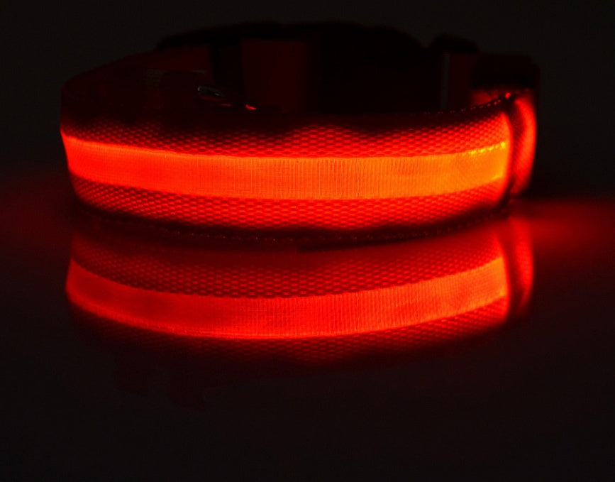 Shiny Tail LED Collar - Safe, Stylish, and Glow-in-Dark
