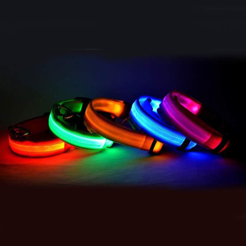Shiny Tail LED Collar - Safe, Stylish, and Glow-in-Dark