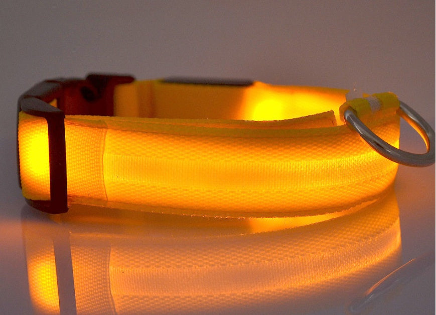 Shiny Tail LED Collar - Safe, Stylish, and Glow-in-Dark