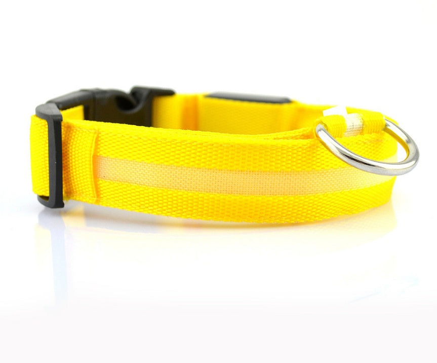 Shiny Tail LED Collar - Safe, Stylish, and Glow-in-Dark