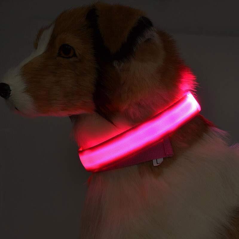 Shiny Tail LED Collar - Safe, Stylish, and Glow-in-Dark