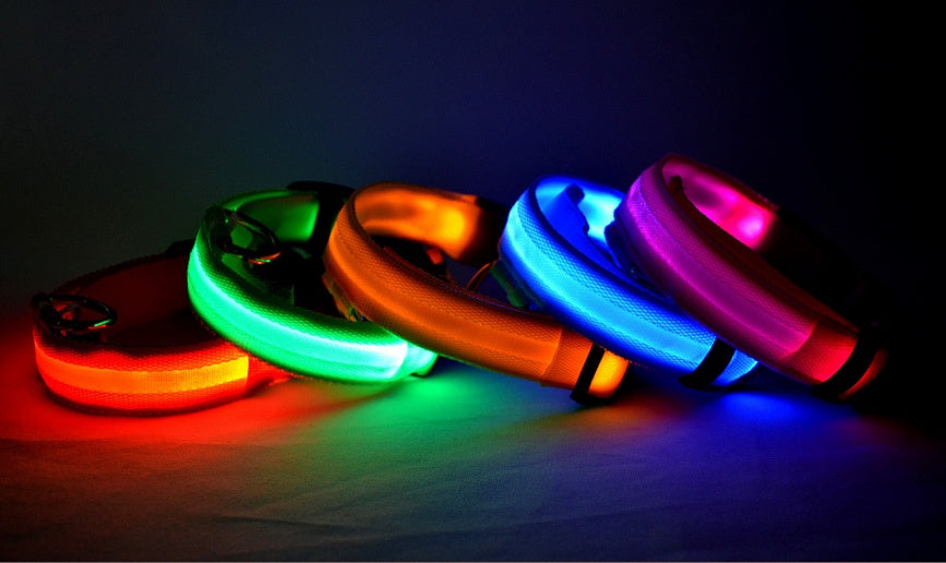 Shiny Tail LED Collar - Safe, Stylish, and Glow-in-Dark