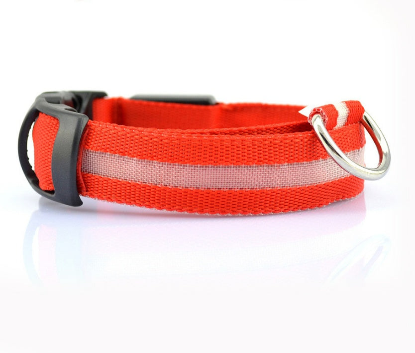 Shiny Tail LED Collar - Safe, Stylish, and Glow-in-Dark