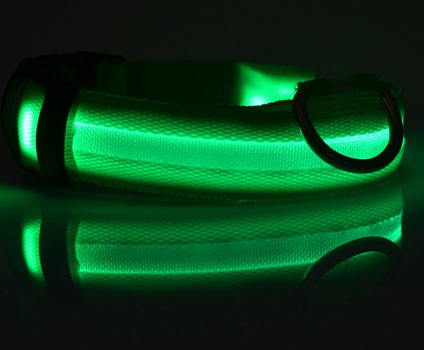 Shiny Tail LED Collar - Safe, Stylish, and Glow-in-Dark