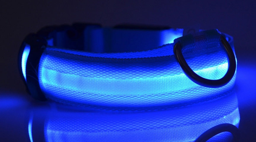 Shiny Tail LED Collar - Safe, Stylish, and Glow-in-Dark