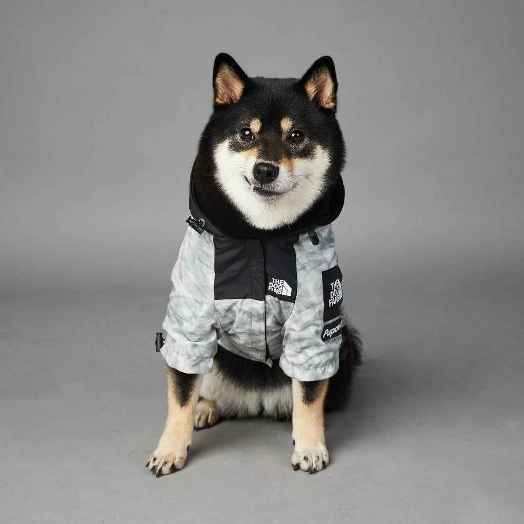 Tail Guard Shell - Comfortable Jacket for Outdoor Adventures