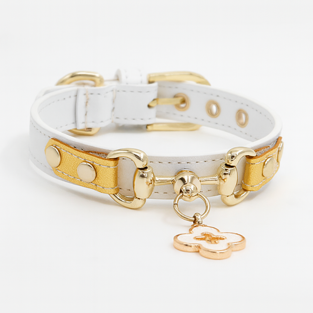 Charming Pup Collar - Soft Leather Style for Everyday Walks