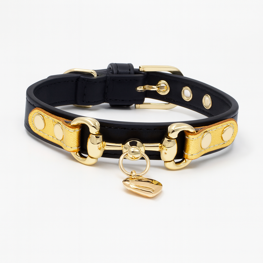 Charming Pup Collar - Soft Leather Style for Everyday Walks