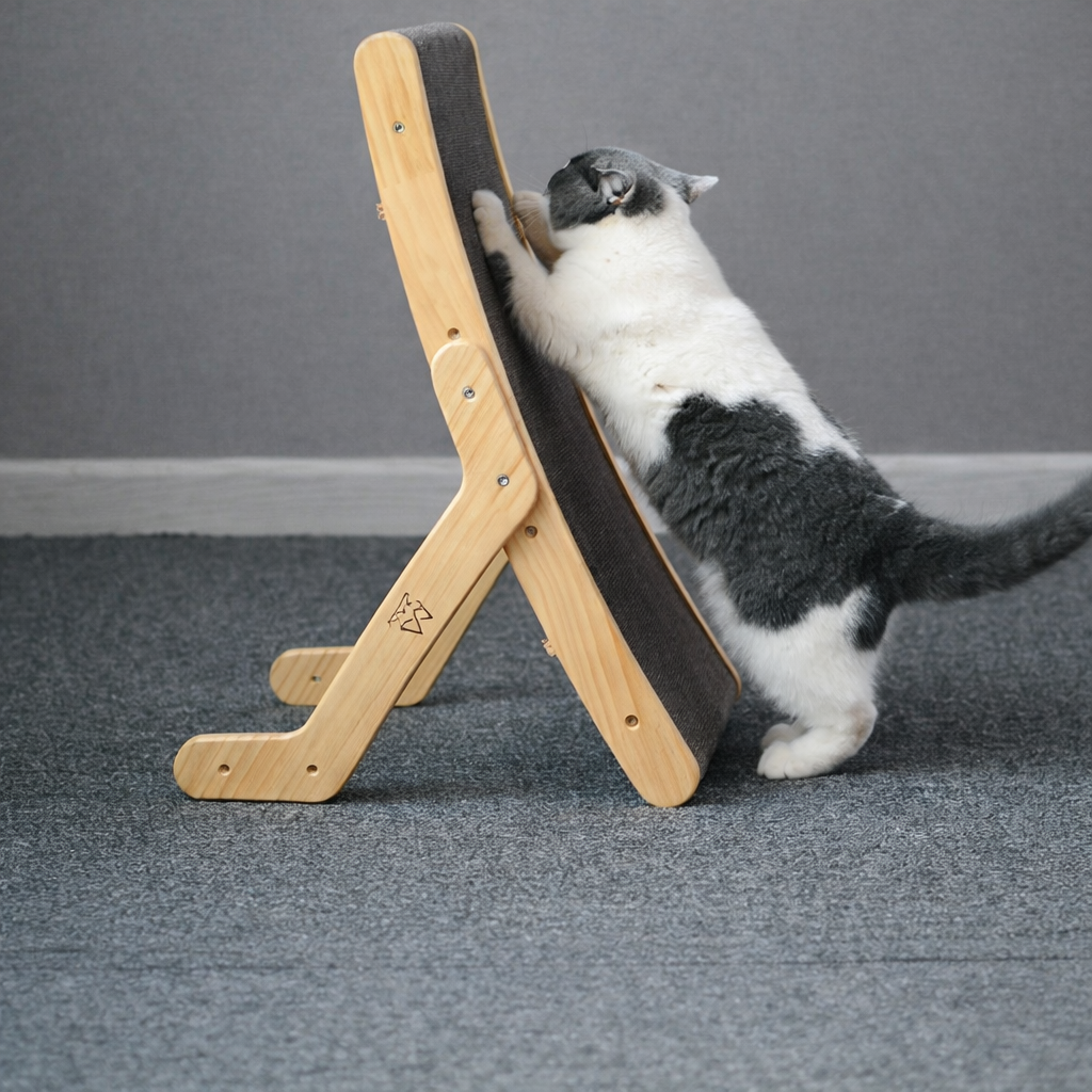 Happy Curl Cat Bed – Shape It, Scratch It, Love It