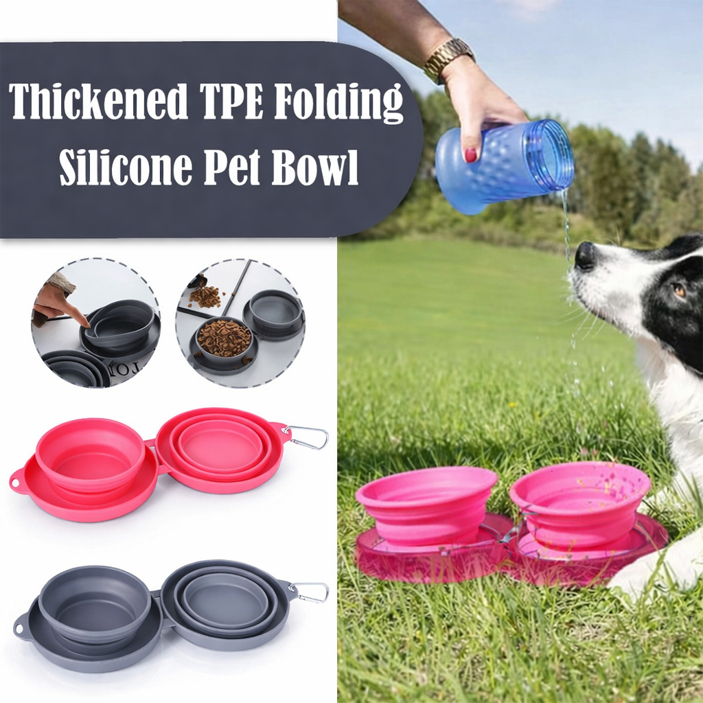 Cozy Dine Pet Double Bowl – Travel-Friendly Feeding for Pets