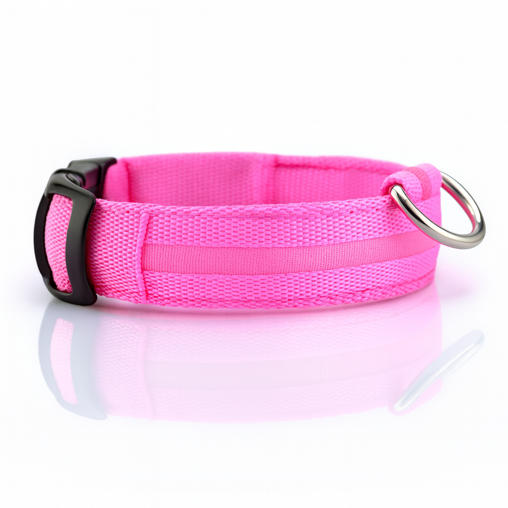 Shiny Tail LED Collar - Safe, Stylish, and Glow-in-Dark