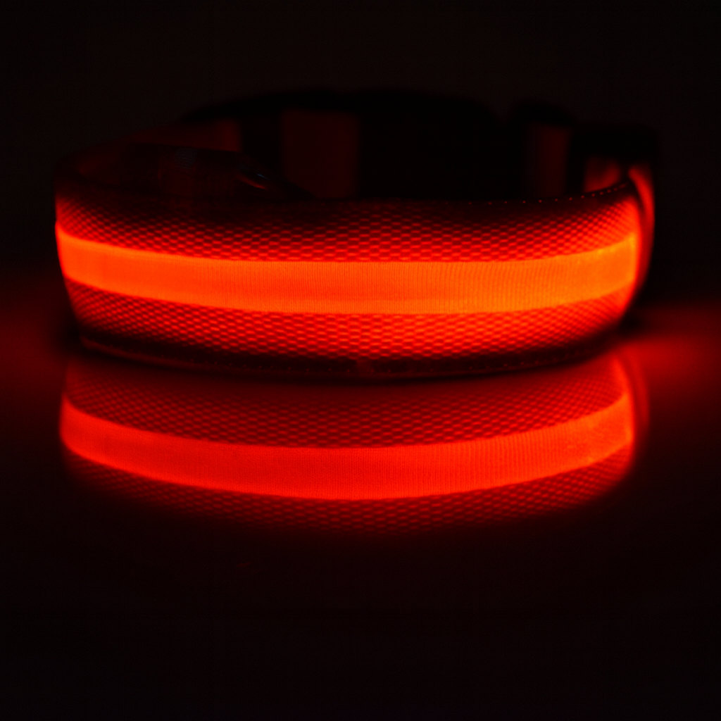 Shiny Tail LED Collar - Safe, Stylish, and Glow-in-Dark