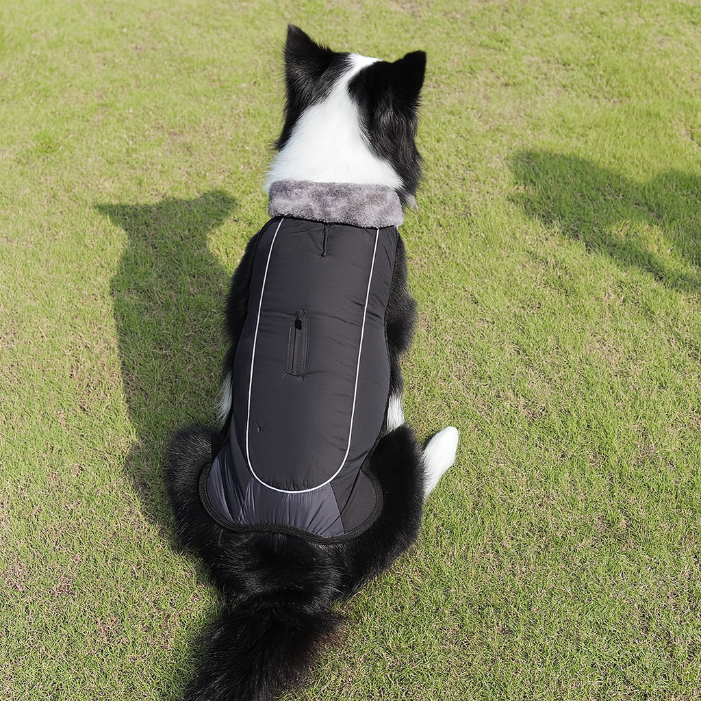 Fur Warm Padded Jacket - Safe & Snug for Cold Days